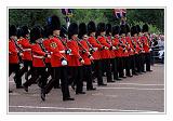 Trooping the Colour 081